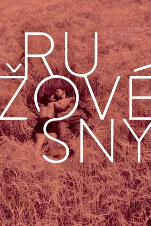 Ružové sny (1977) poster