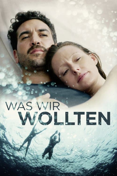 What We Wanted (2020) poster