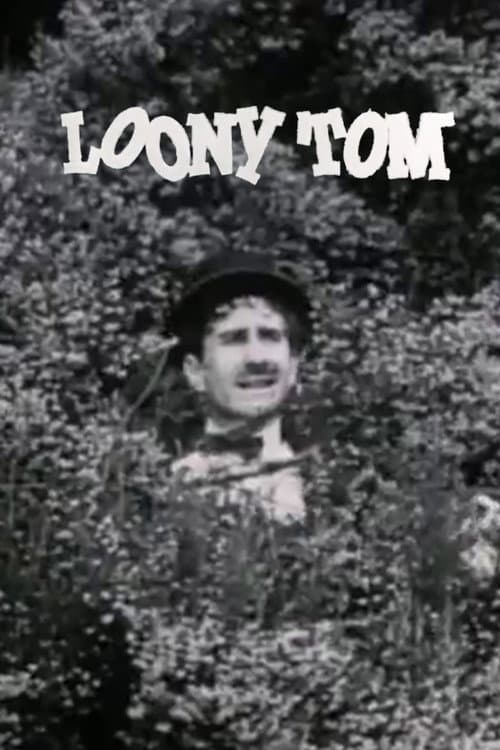 Loony Tom the Happy Lover (1951) poster