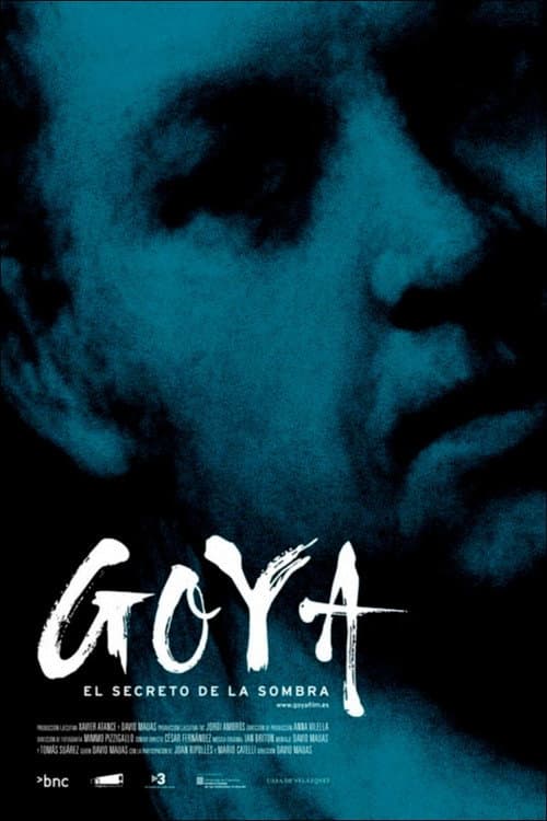 Goya: el secreto de la sombra (2011) poster