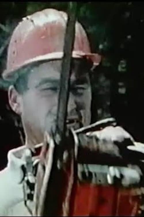 Oregon Presents: A Serious Look At Chainsaw Safety (1977) poster