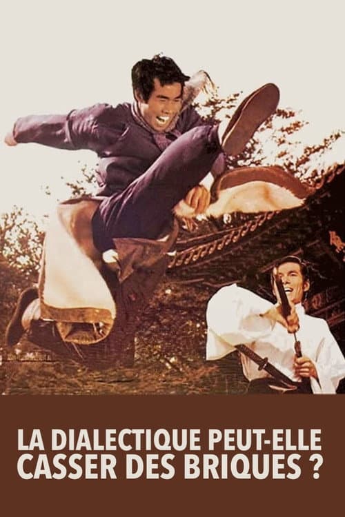 La dialectique peut-elle casser des briques ? (1973) poster