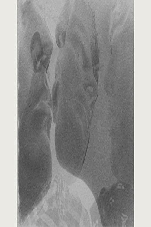 Vis à Vis (2013) poster