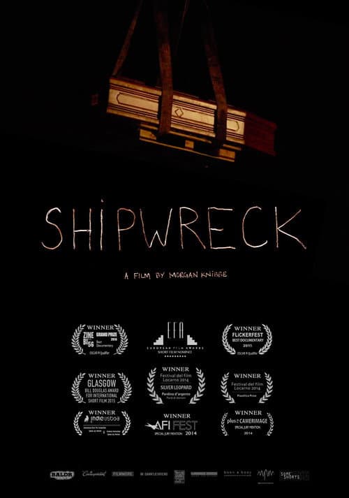 Schipbreuk (2014) poster
