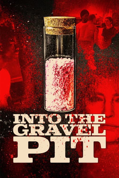Into The Gravel Pit (2025) poster