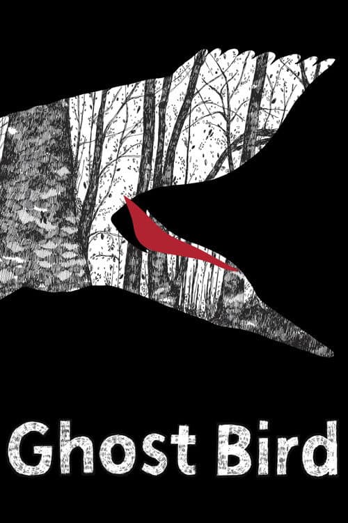 Ghost Bird (2009) poster