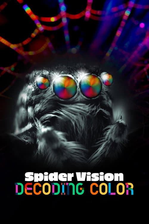 Spider Vision: Decoding Color (2024) poster