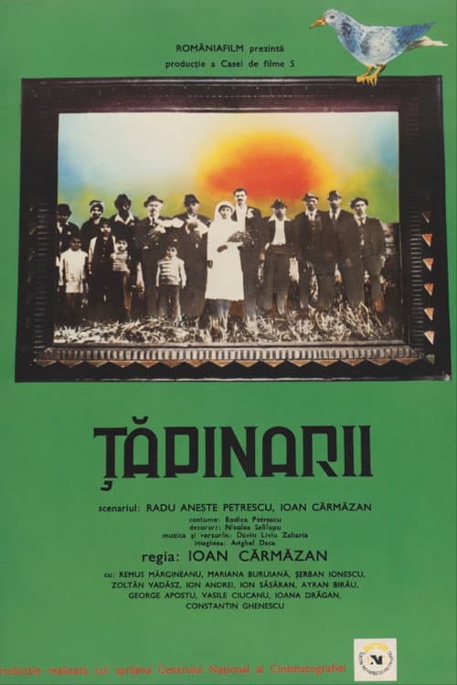 Țapinarii (1983) poster