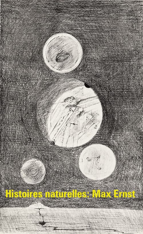 Histoires naturelles : Max Ernst (1972) poster