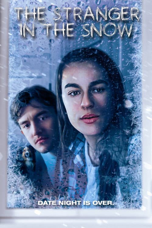 The Stranger in the Snow (2025) poster