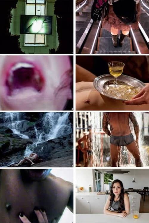 Destricted.Br (2010) poster