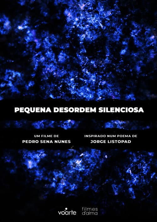 Pequena Desordem Silenciosa (2021) poster