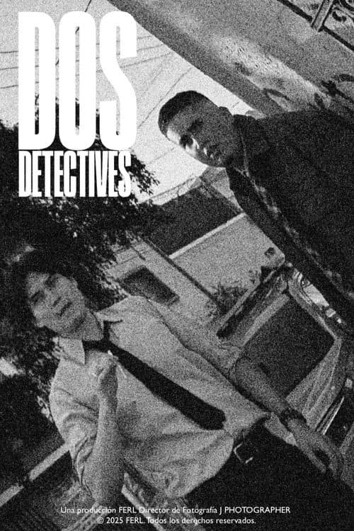 Dos Detectives (2026) poster