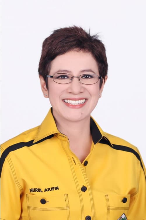 Nurul Arifin foto