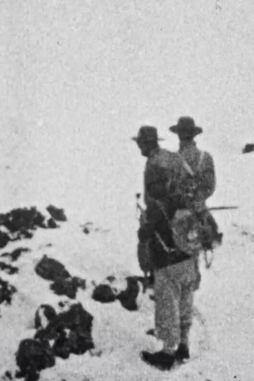 Climbing Mount Everest (1933) poster