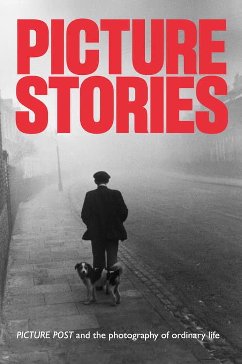 Picture Stories (2021) poster
