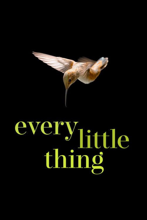 Every Little Thing (2025) poster