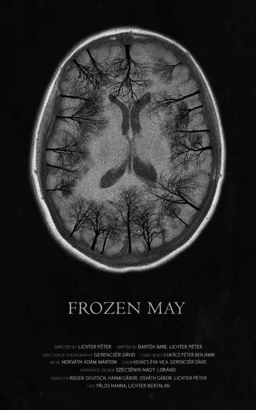 Fagyott május (2017) poster
