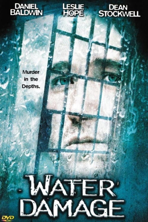 Water Damage (1999) poster