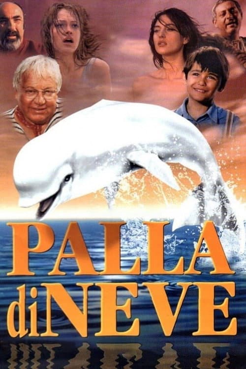 Palla di Neve (1995) poster