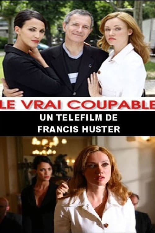 Le Vrai Coupable (2007) poster
