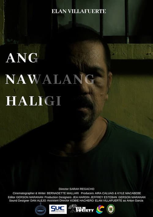 Ang Nawalang Haligi (2020) poster