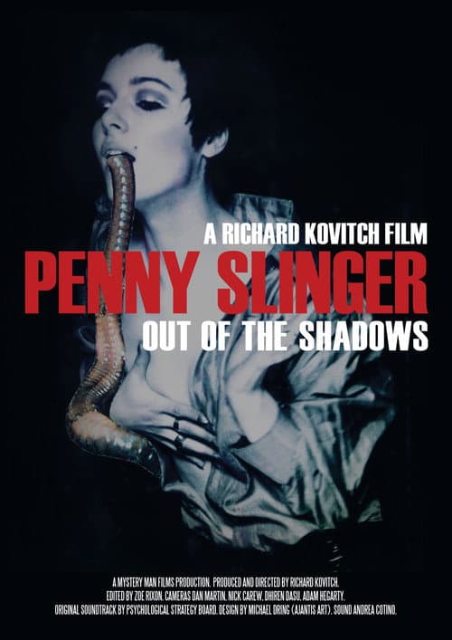 Penny Slinger: Out of the Shadows (2017) poster