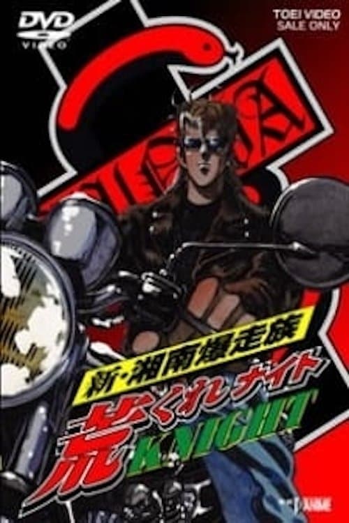 新・湘南爆走族 荒くれKNIGHT (1997) poster