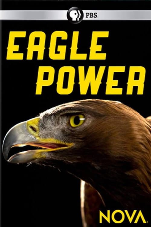 Eagle Power (2020) poster