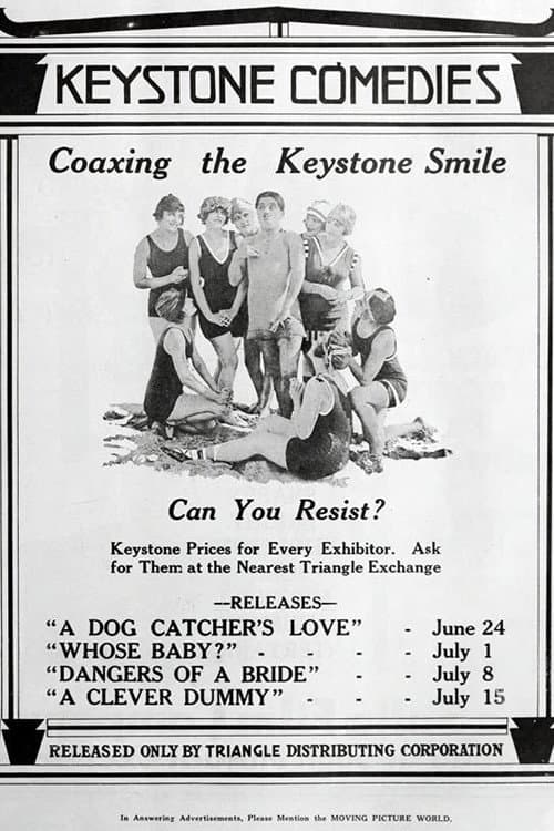 Dangers of a Bride (1917) poster