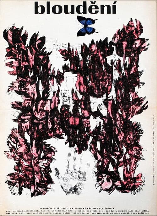 Bloudění (1966) poster