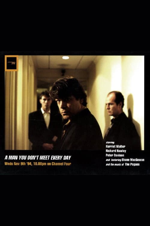 A Man You Don't Meet Every Day (1994) poster