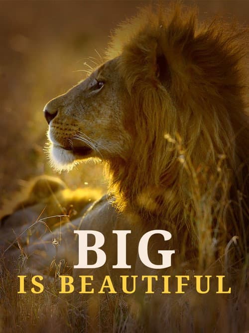 Big is Beautiful (2017) poster