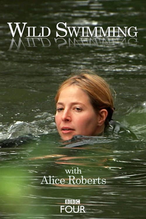 Wild Swimming (2010) poster