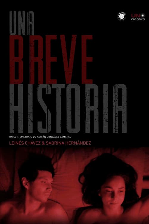 Una breve historia (2019) poster