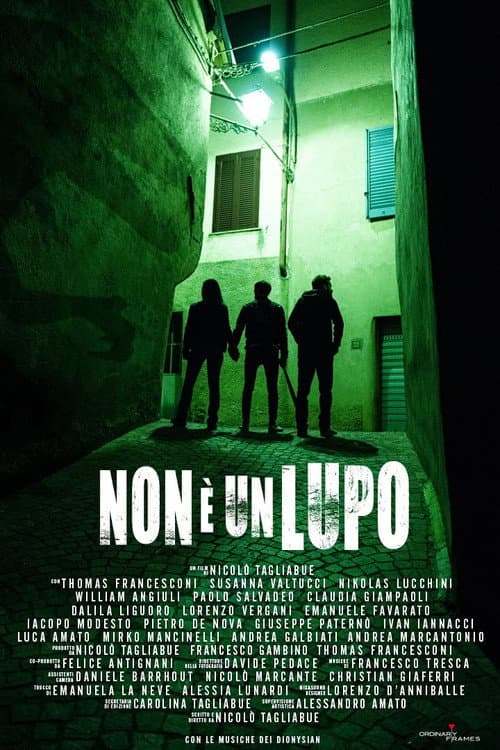 Non è un lupo (2022) poster