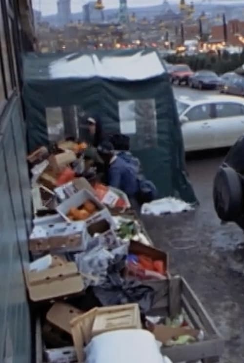 Surfing the Waste: a Musical Documentary about Dumpster Diving (2008) poster