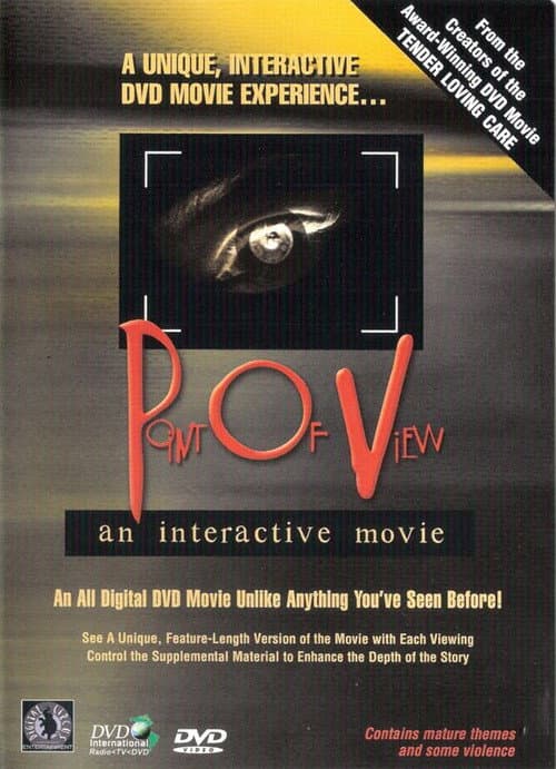 Point of View (2001) poster