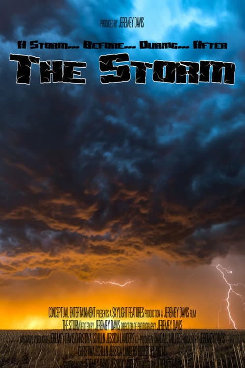 The Storm (2007) poster
