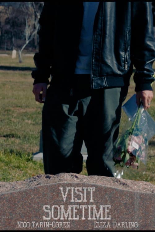 Visit Sometime (2026) poster