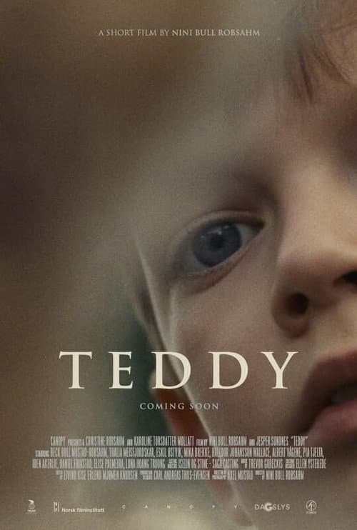 Teddy (2025) poster
