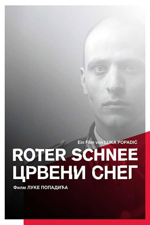 Roter Schnee (2013) poster