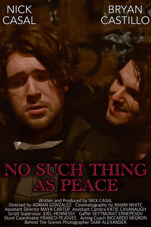 No Such Thing As Peace (2025) poster