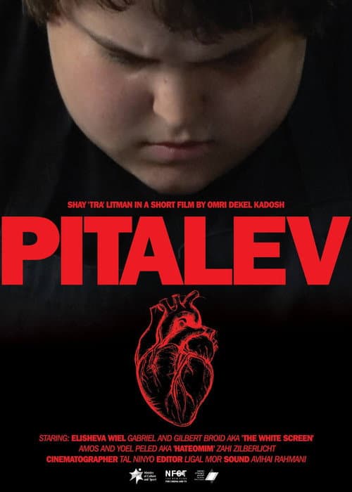 Pitalev (2018) poster