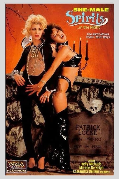 She-Male Spirits in the Night (1991) poster