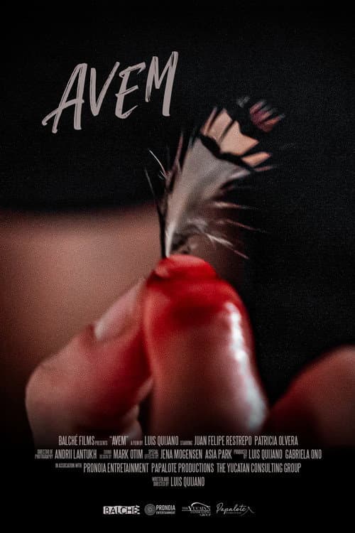 Avem (2025) poster