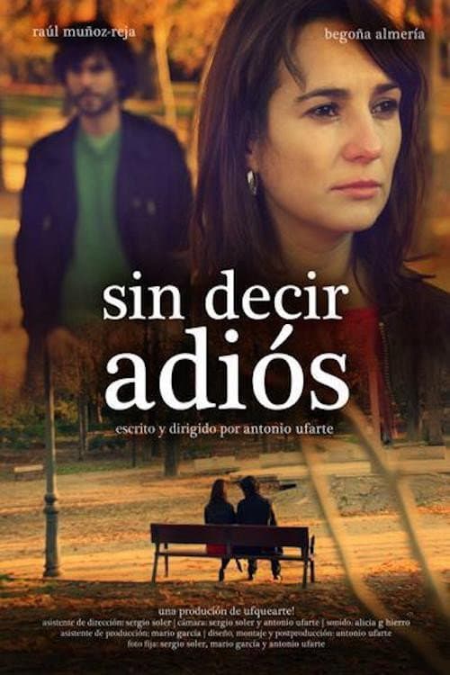 Sin decir adiós (2013) poster