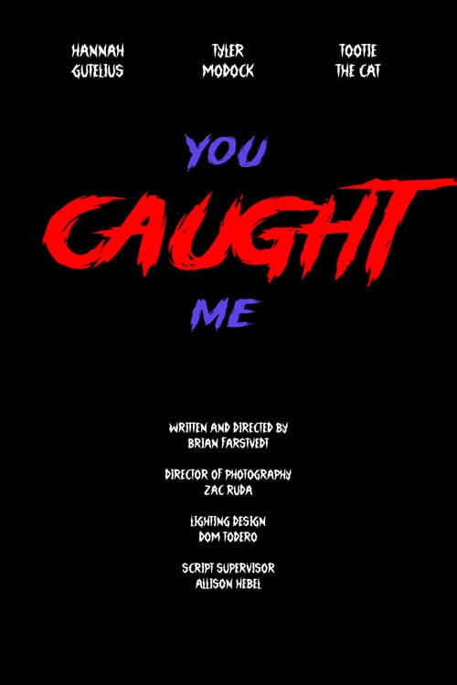 You Caught Me (2025) poster