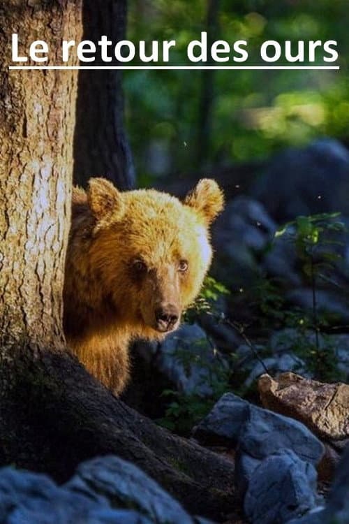 Le retour des ours (2019) poster