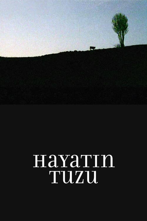 Hayatın Tuzu (2008) poster